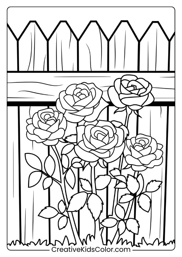 Garden Coloring Page Of Roses Against A Wooden Fence, Offering A Peaceful, Natural Scene With Floral Details.