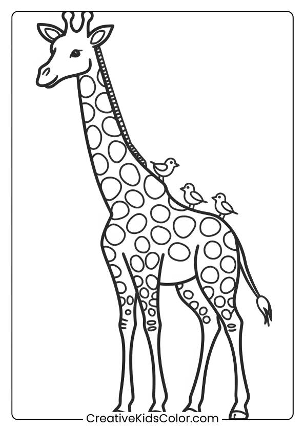 Giraffe And Birds Together In A Calming Coloring Page, Perfect For Animal Lovers.
