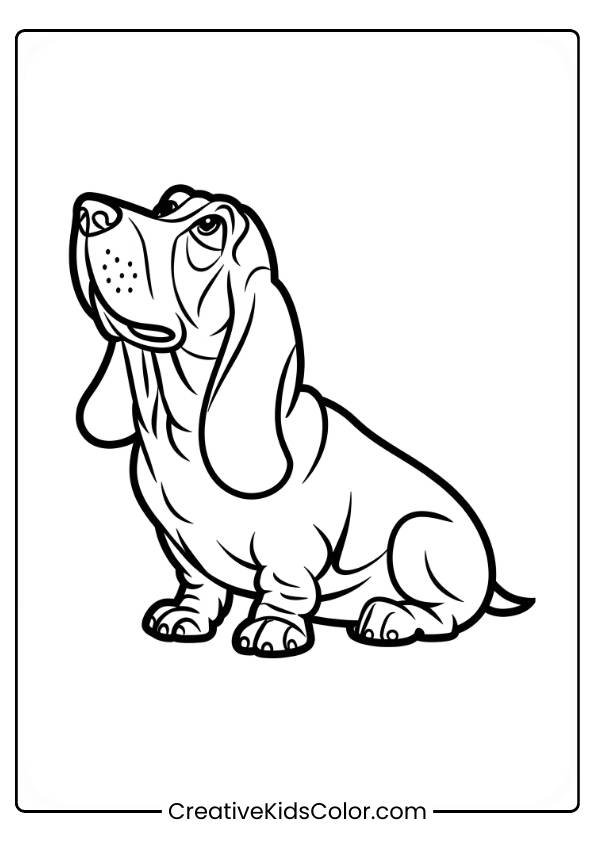 Basset Hound Sitting With Droopy Ears Looking Up In A Dog Coloring Page.