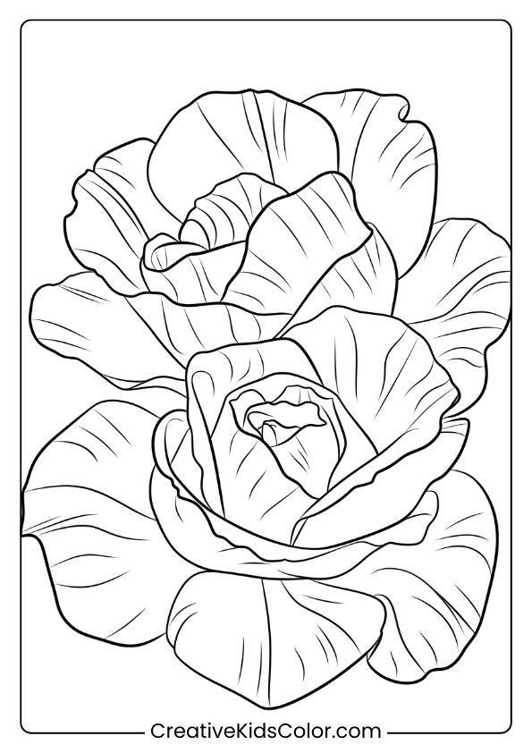 Close-up coloring page of roses with textured petals, showcasing natural beauty and intricate petal design.