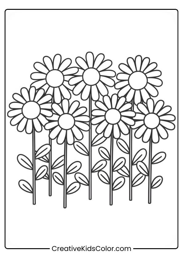 A Group Of Daisies Arranged Closely Together, Offering A Lively And Cheerful Garden Scene To Color.