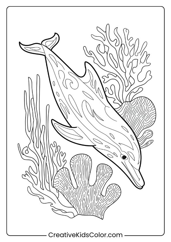 A Detailed Dolphin With Intricate Coral, Perfect For A Detailed And Artistic Coloring Page.