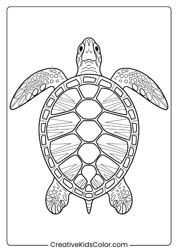 Detailed Sea Turtle Coloring Page With A Gradient Shell Design, Focusing On Realistic And Intricate Details.
