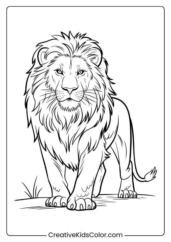 A Fierce Lion Protecting Its Territory, A Bold And Strong Lion Coloring Page For Kids To Explore.
