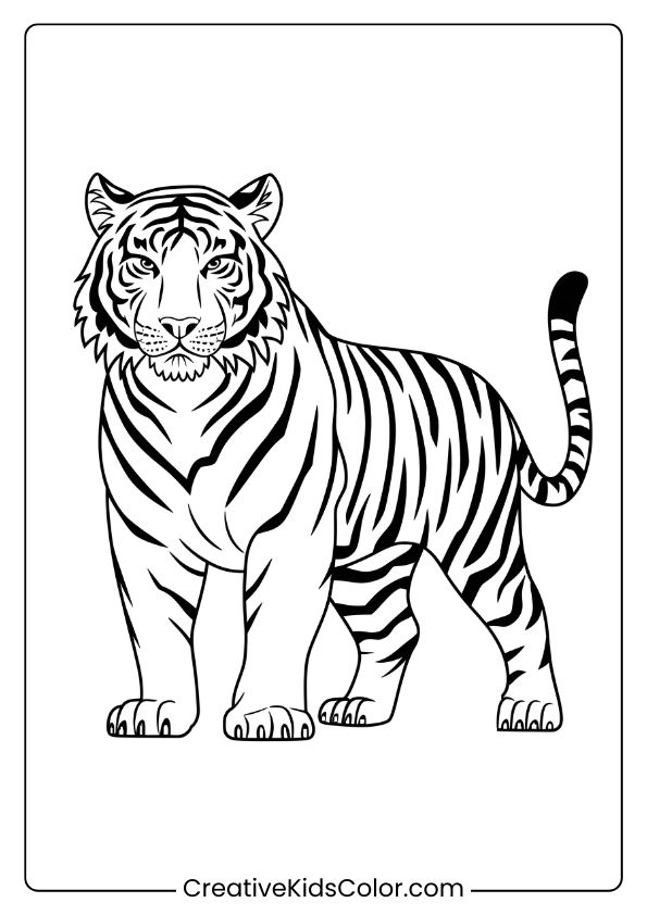 Fierce Tiger Coloring Page Showing A Standing Tiger With Strong, Detailed Stripes In A Powerful, Majestic Pose.