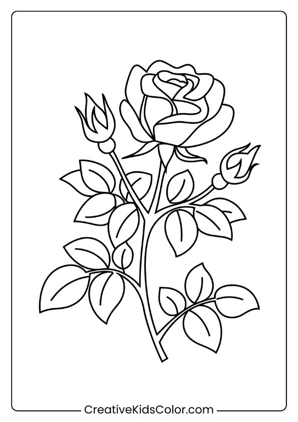 Coloring Page Of A Rose With Buds Symbolizing Spring’s First Bloom, Offering Detailed Petals And Leaves.