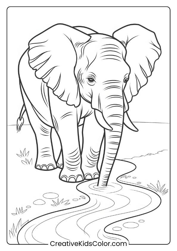 Coloring Page Of An Elephant Drinking From A Stream.