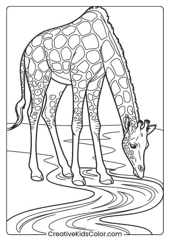 Giraffe Drinking From A Stream In A Simple Coloring Page, Perfect For Nature Enthusiasts.