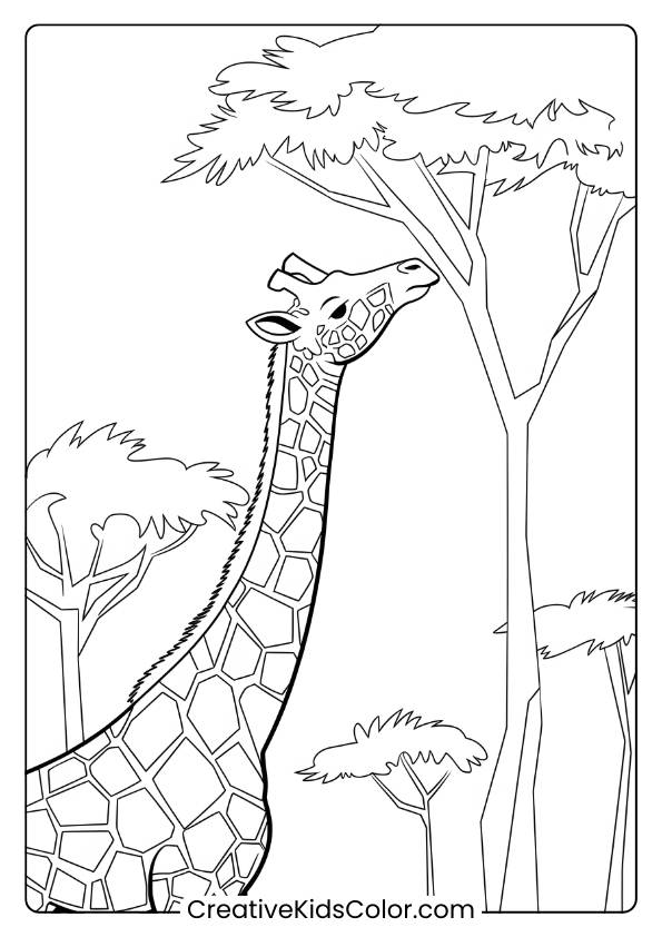 Giraffe Eating From A Tree In A Scenic Coloring Page, Perfect For Nature-Themed Coloring Fun.