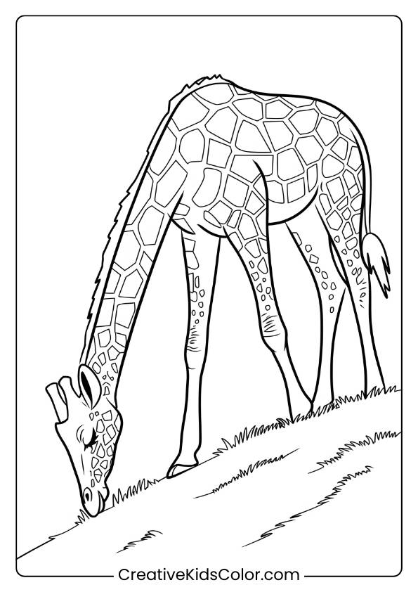 Giraffe Grazing On A Hilltop In A Natural Coloring Page, Perfect For Those Who Love Outdoor Settings.