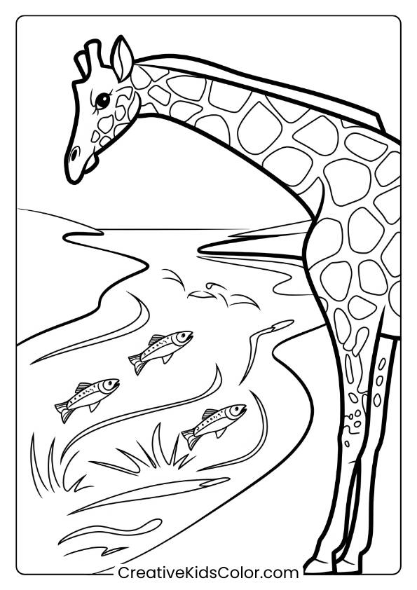 Giraffe By A River With Fish In A Scenic Coloring Page, Perfect For Aquatic And Land Animals Lovers.