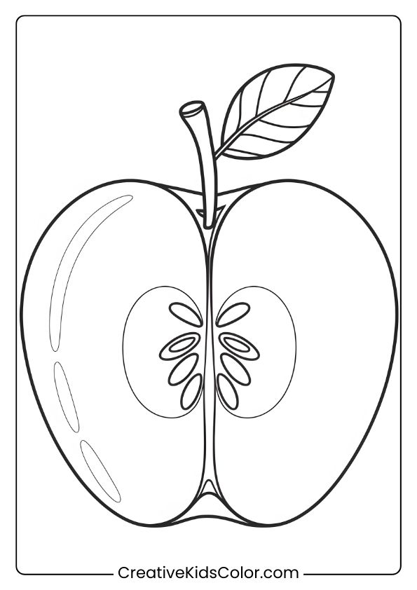A detailed coloring page of a sliced apple revealing seeds and core, perfect for an educational coloring activity.