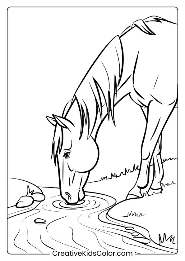 A Horse Drinking From A Stream, Creating A Tranquil Nature-Themed Coloring Page.