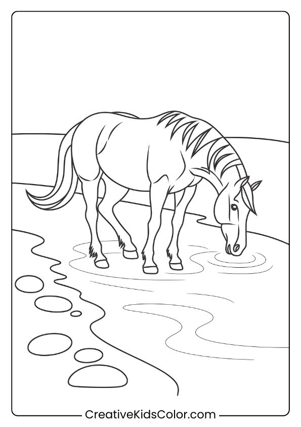 A Serene Horse Drinking By The River, Providing A Peaceful Coloring Experience.