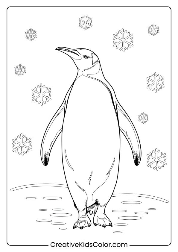 A King Penguin Walking Through Snowflakes, A Beautiful And Serene Winter-Themed Penguin Coloring Page.