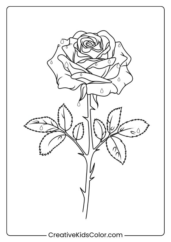 Coloring Page Of A Rose With Dewdrops On Its Petals, Capturing A Fresh Morning Scene In Natural Detail.