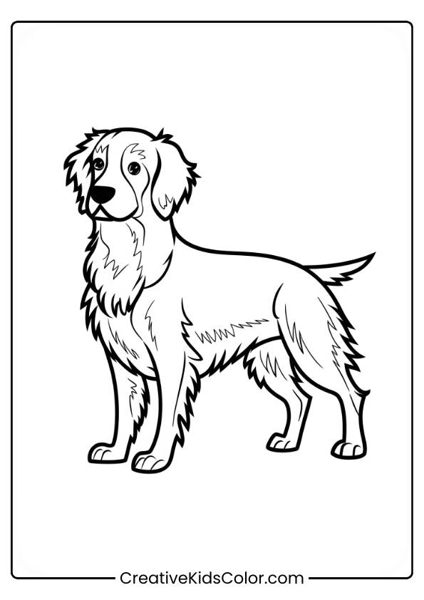 Nova Scotia Retriever Standing Upright With Long, Wavy Fur In A Dog Coloring Page.