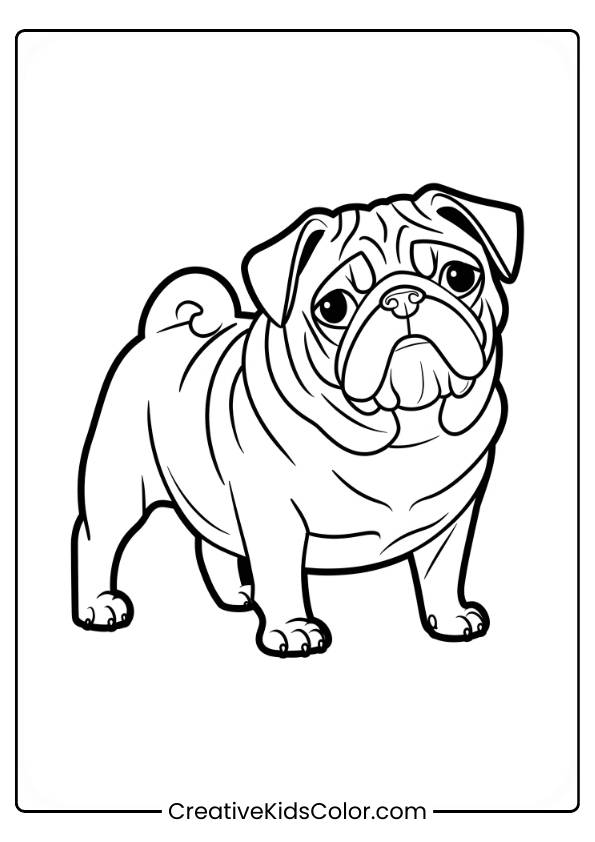 Pug With A Wrinkled Face Tilting Its Head In A Dog Coloring Page.