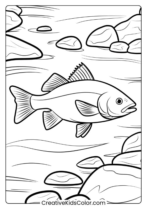 A Realistic Fish Moves Through A Rocky Stream, With Smooth Pebbles Beneath In A Soothing Nature-Themed Coloring Page.