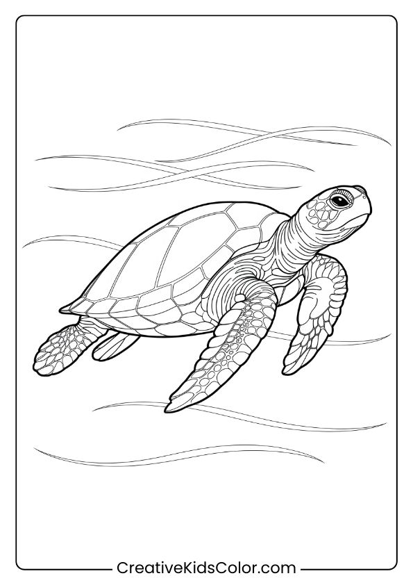 Realistic Sea Turtle In Blue Waters Coloring Page, Perfect For An Immersive Underwater Scene.