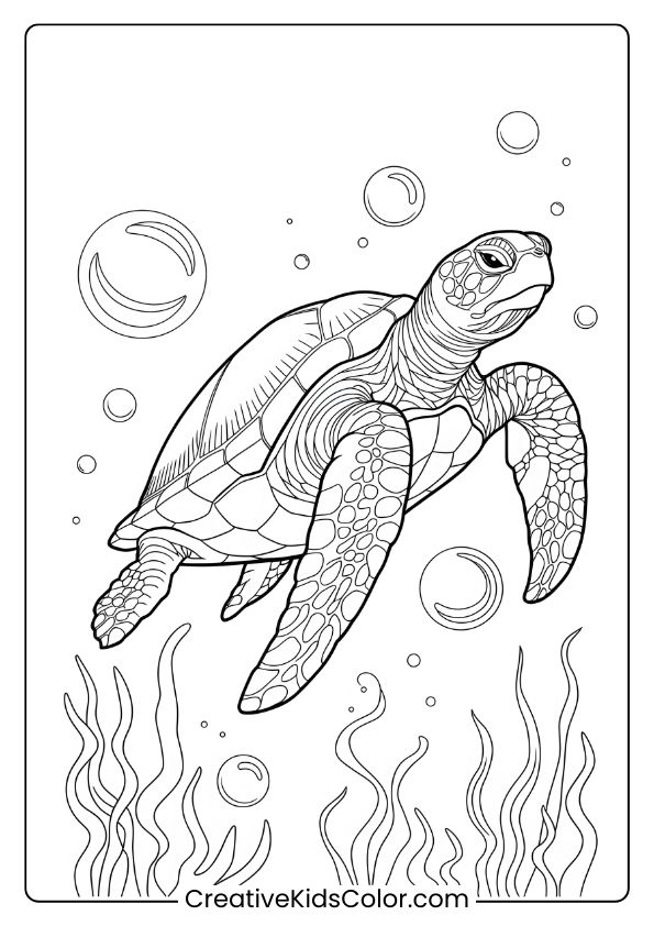 Sea Turtle And Bubbles Coloring Page, Featuring A Realistic Turtle In A Lively Underwater Scene.