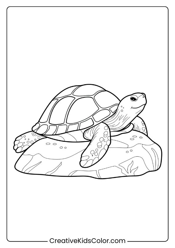 Realistic Turtle Coloring Page Showing A Turtle On A Rock, Highlighting The Turtle’s Natural Details And Serene Setting.