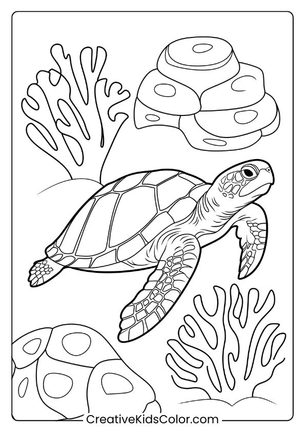 Realistic Turtle Coloring Page With Coral Details, Showcasing Underwater Flora And Fauna.