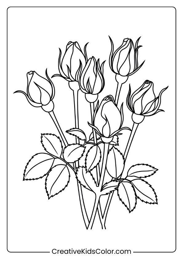Coloring Page Of A Rose Bouquet With Buds And Blooms, Showcasing The Beauty Of Roses At Different Stages.