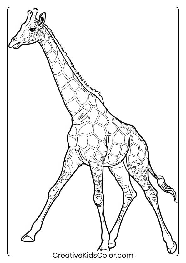 Giraffe In The Savannah, Captured In A Classic Coloring Page, Ideal For Kids Who Like African Wildlife.