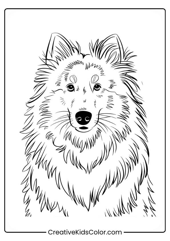 Sheltie'S Fluffy Face With Expressive Eyes In A Detailed Dog Coloring Page.