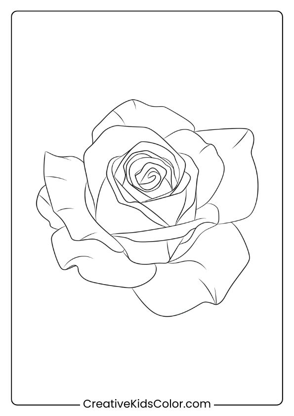Coloring Page Of A Blooming Rose With A Symmetrical Petal Arrangement, Perfect For Relaxing, Detailed Coloring.