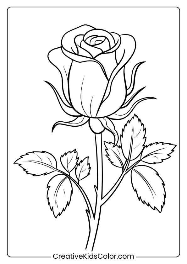 Coloring Page Of A Single Blooming Rose With Layered Petals And Leaves, Symbolizing The First Bloom Of Spring.