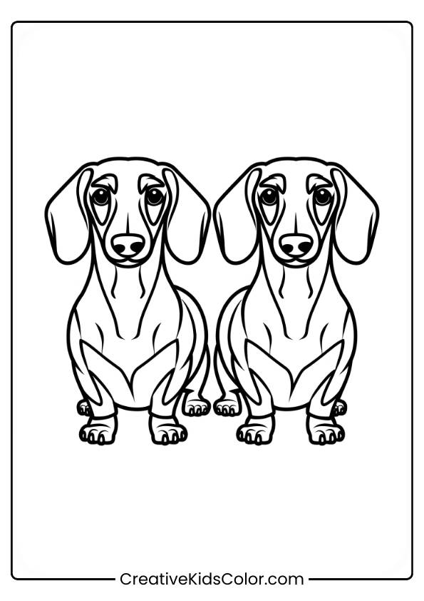 Two Dachshunds Sitting Side By Side With Droopy Ears And Expressive Eyes In A Dog Coloring Page.