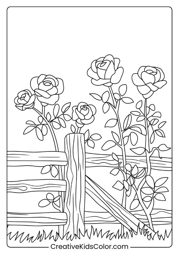 Coloring Page Of Wild Roses By A Wooden Fence, Capturing A Rustic And Natural Garden Scene With Detailed Blooms.