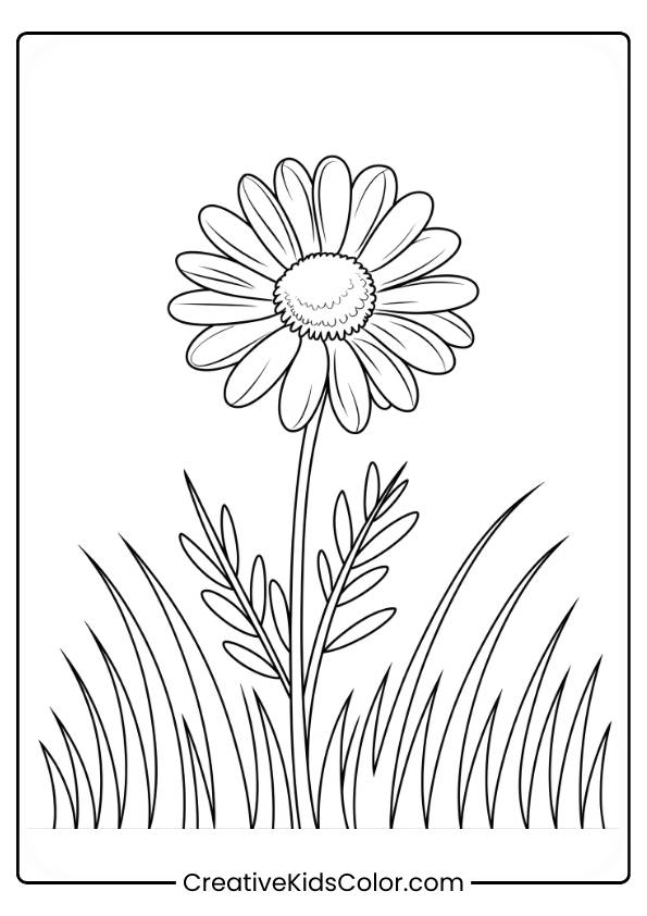 A Daisy Stands Tall In A Field, Surrounded By Grass, Creating A Peaceful And Natural Scene.