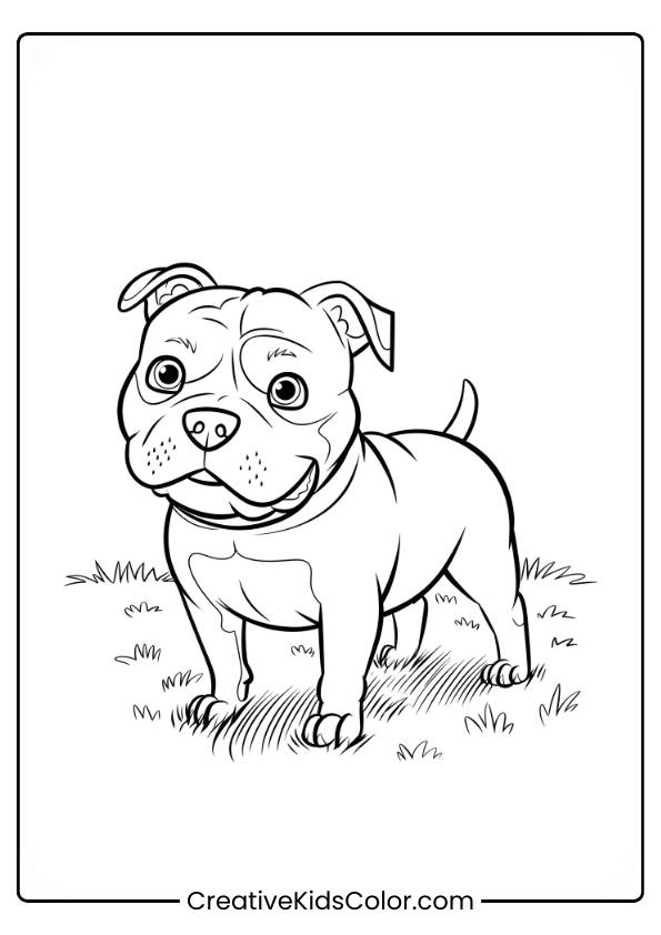 Pitbull Standing On Grass With Perked-Up Ears In A Dog Coloring Page.