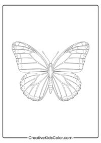 Butterfly Coloring Pages (Free Printable PDF)