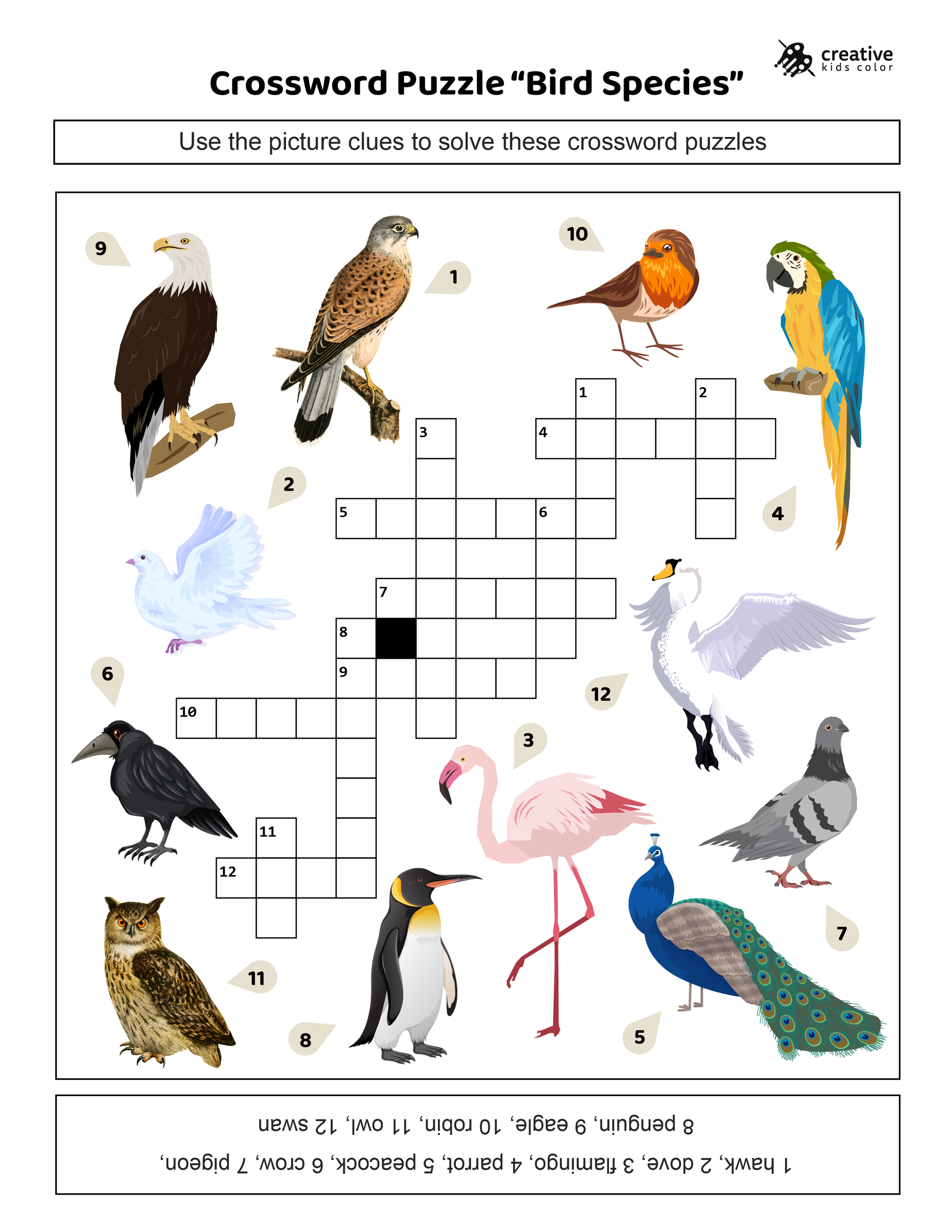 Free printable birds crossword puzzle for learning bird names.