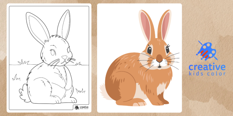 Bunny Coloring Pages