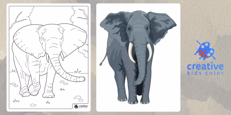 Elephant Coloring Pages