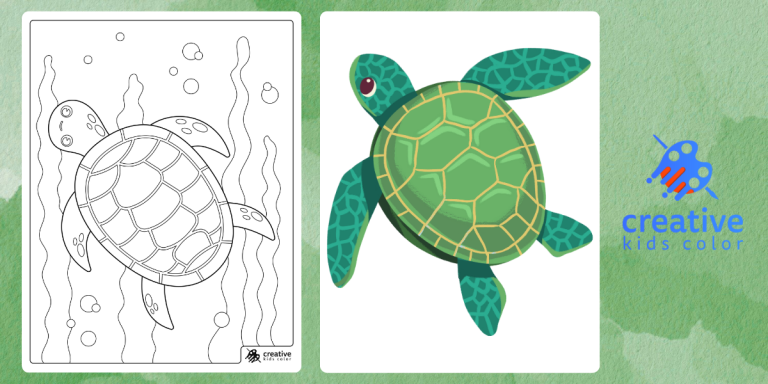 Turtle Coloring Pages