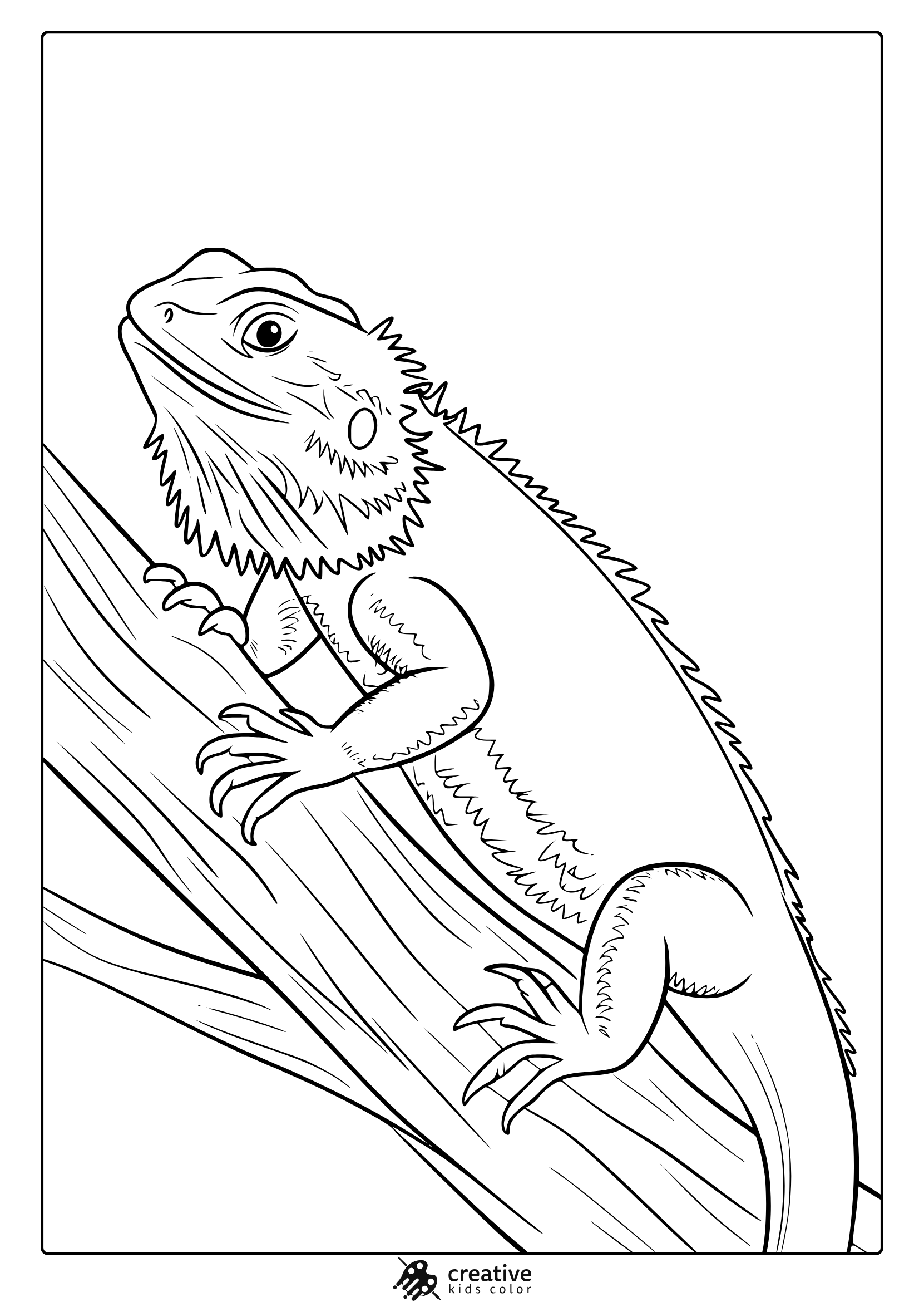 A Bearded Dragon Coloring Page Featuring A Detailed Lizard With Textured Scales And A Spiky Beard.