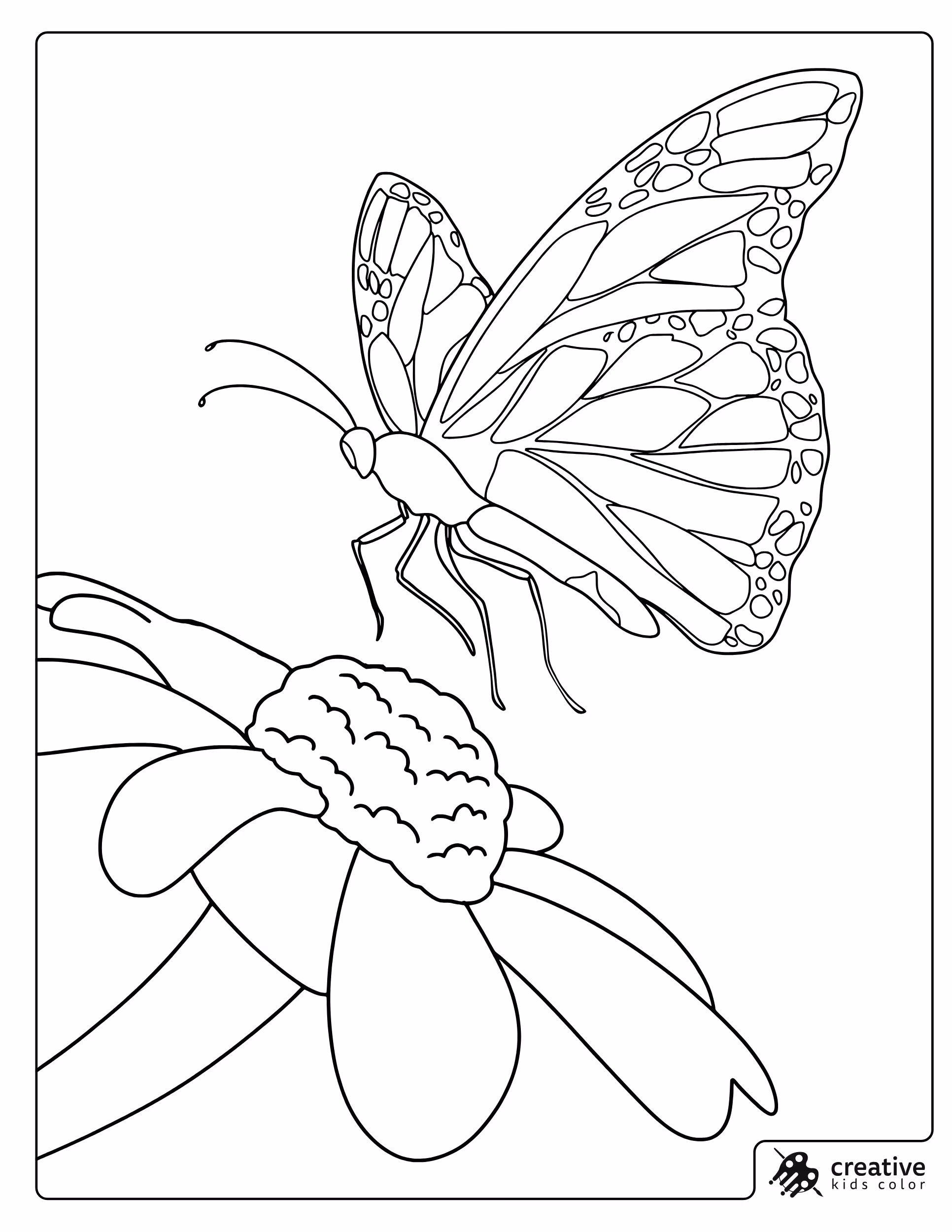 Butterfly On Flower Coloring Page With Detailed Wings And Petals