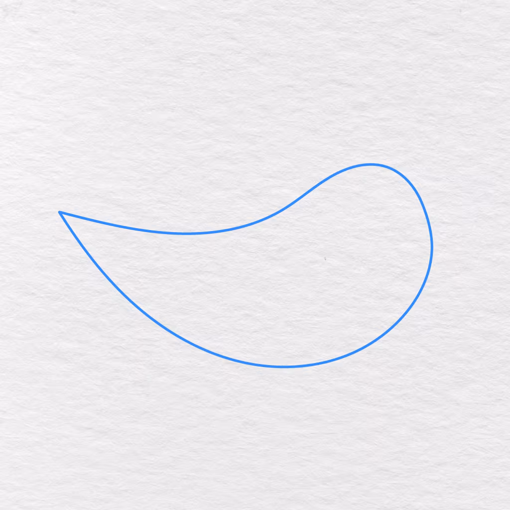Step 1 Showing A Long Curved Outline Drawn For The Bird’s Rounded Body And Pointed Tail.