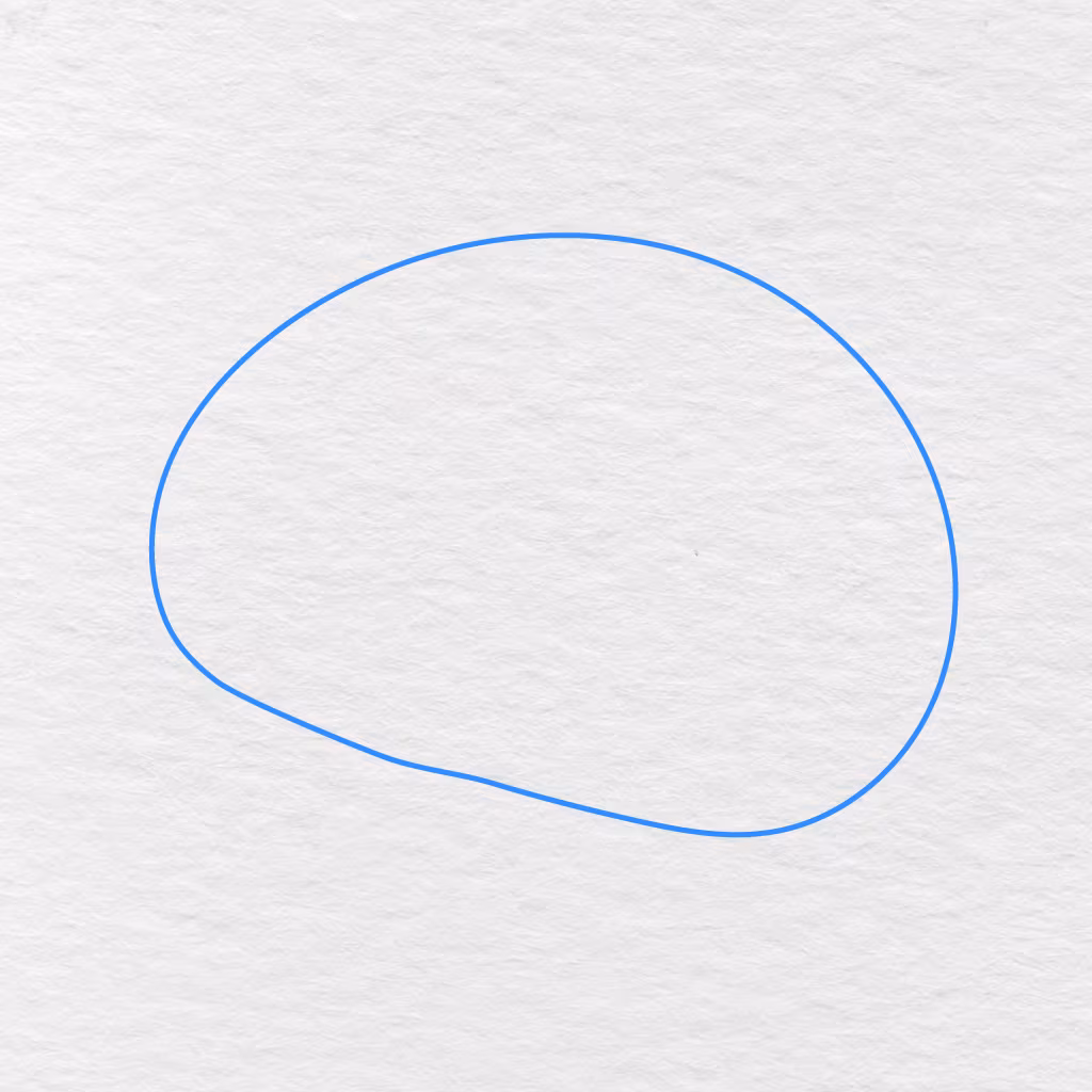 Step 1 Showing A Large Rounded Outline For The Basic Shape Of The Brain.