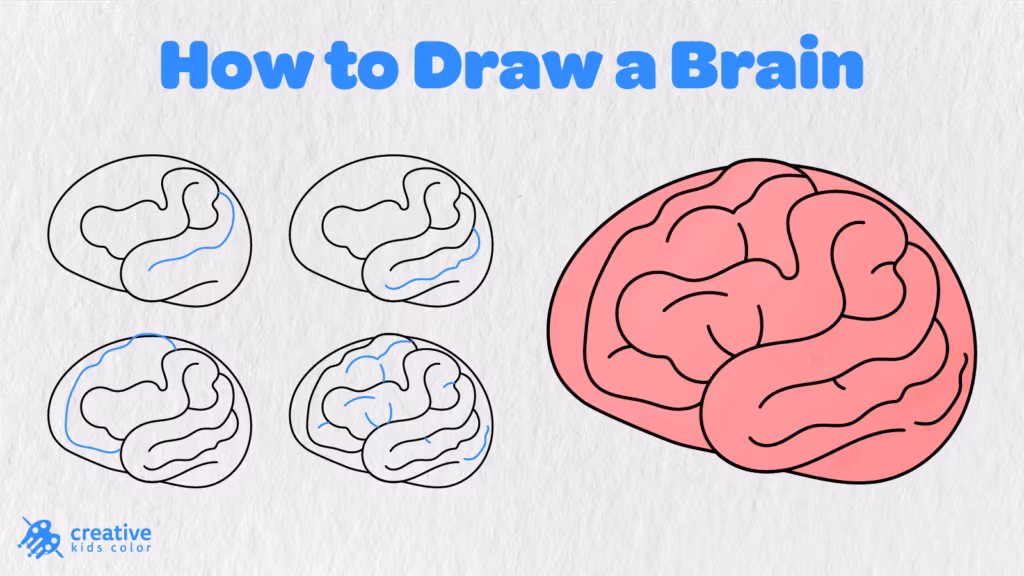How to Draw a Tiger (Easy Guide in 16 Steps)