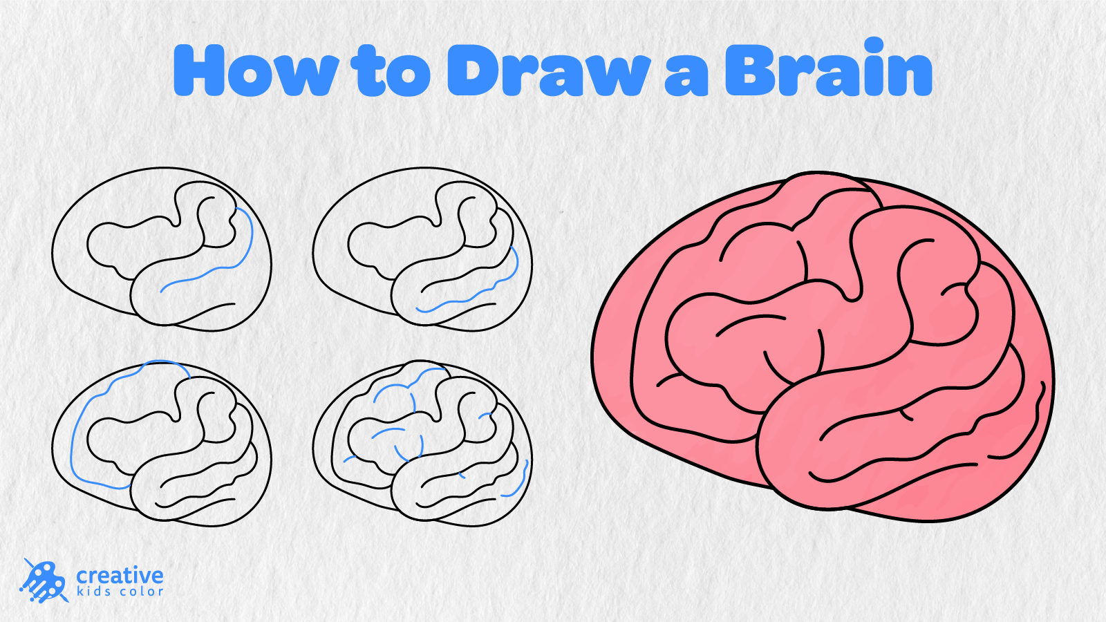 How To Draw A Brain Step By Step In 8 Easy Stages With A Finished Pink Brain Drawing.