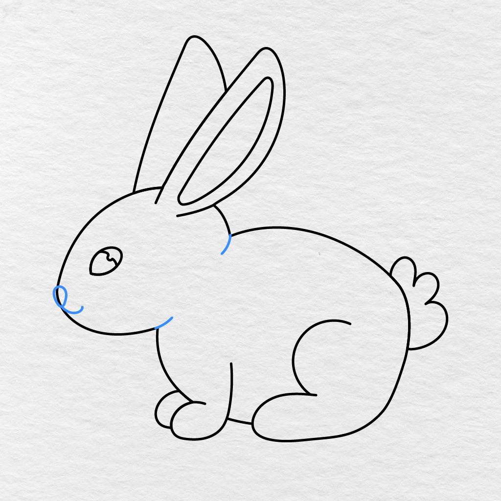 Step 9 Showing A Small Nose, Smiling Mouth, And Curved Neck Detail Added To The Bunny.