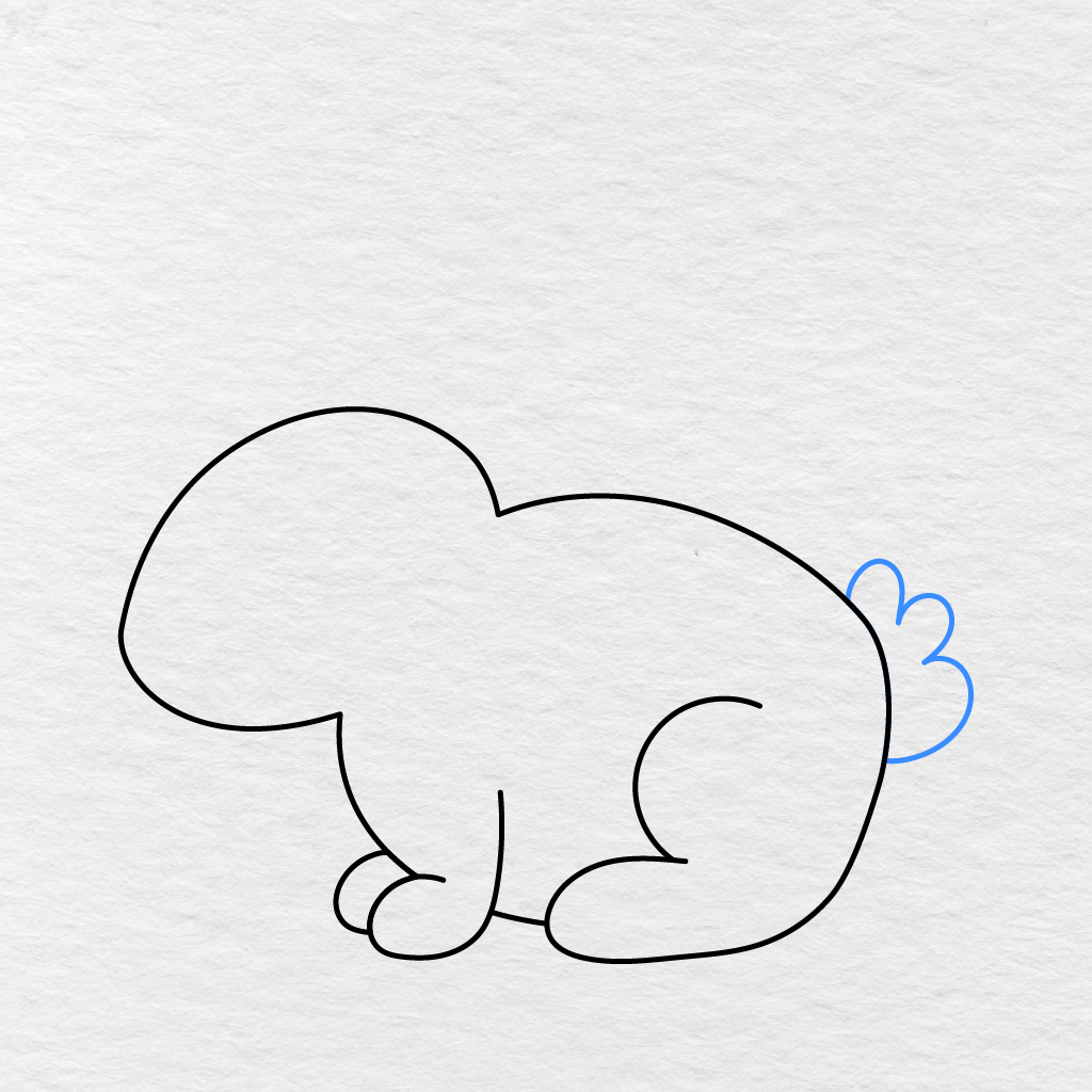 Step 5 Showing A Small Fluffy Tail Added To The Back Of The Bunny’s Body.