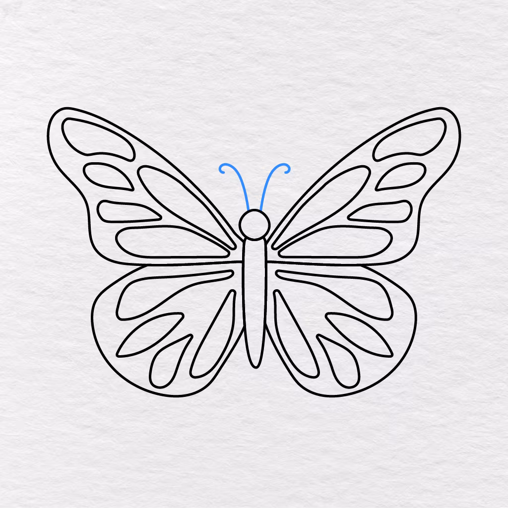 Step 12 Showing Two Long Curled Antennae Added Above The Butterfly’s Head.